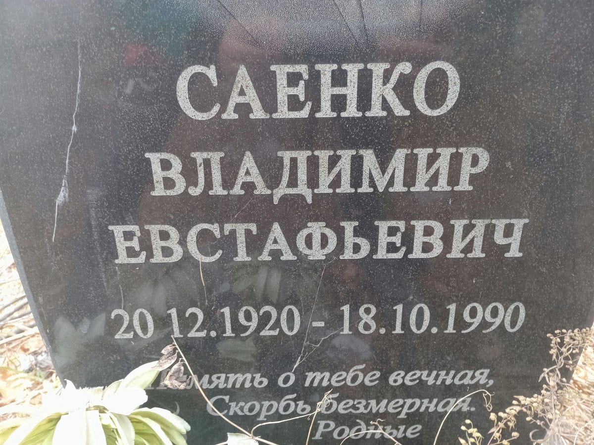 Саенко Владимир Евстафьевич