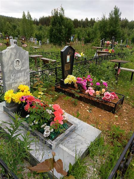 Тесаловский Владимир Петрович