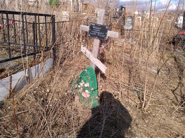 Шарцев Андрей Александрович
