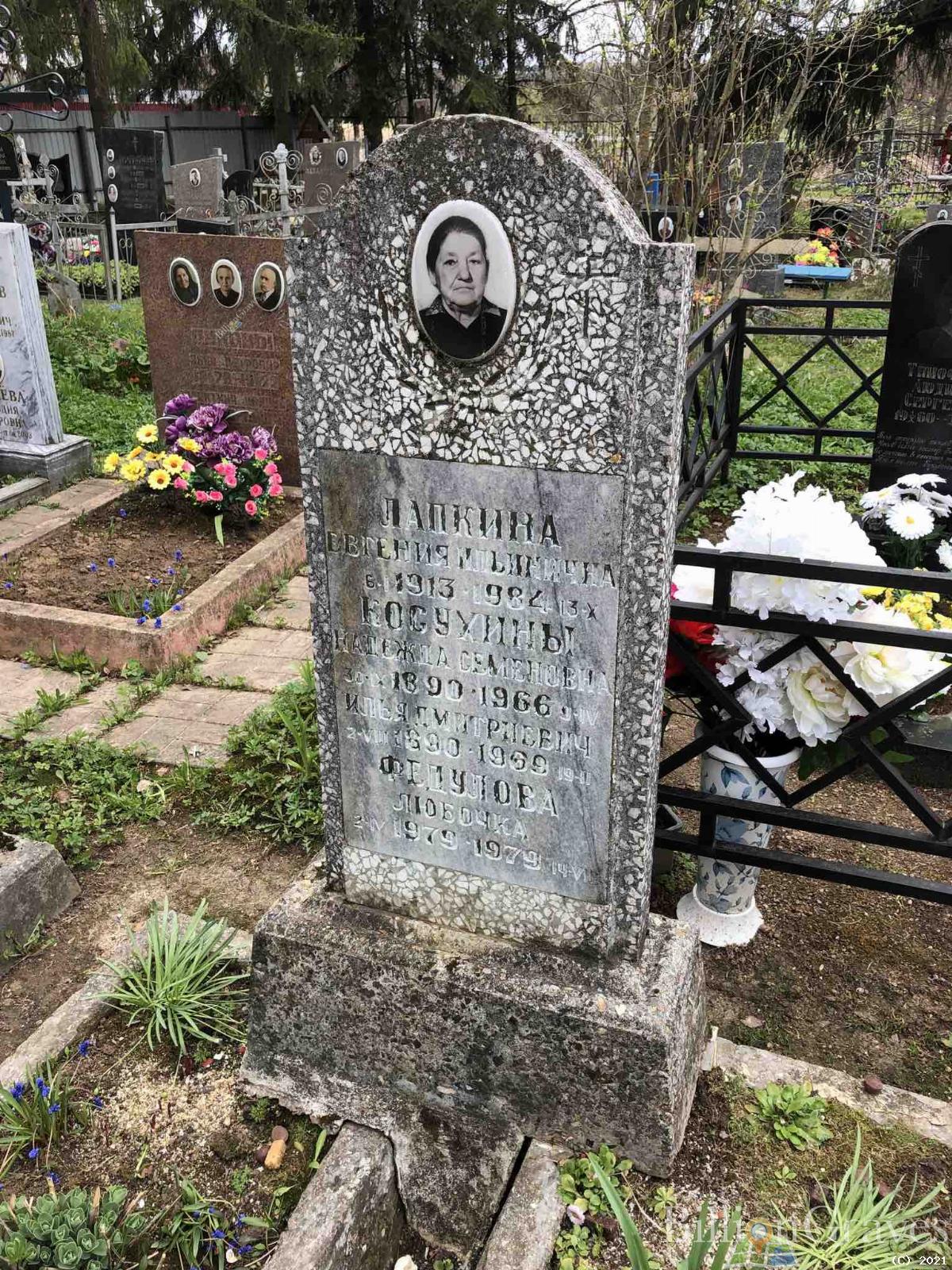 Лапкина Евгения Ильинична