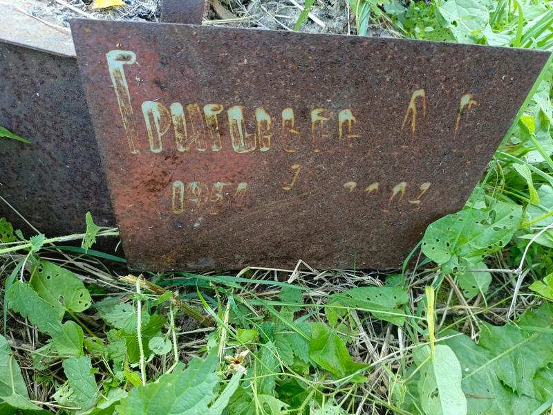 Д. Григорьев Вю
