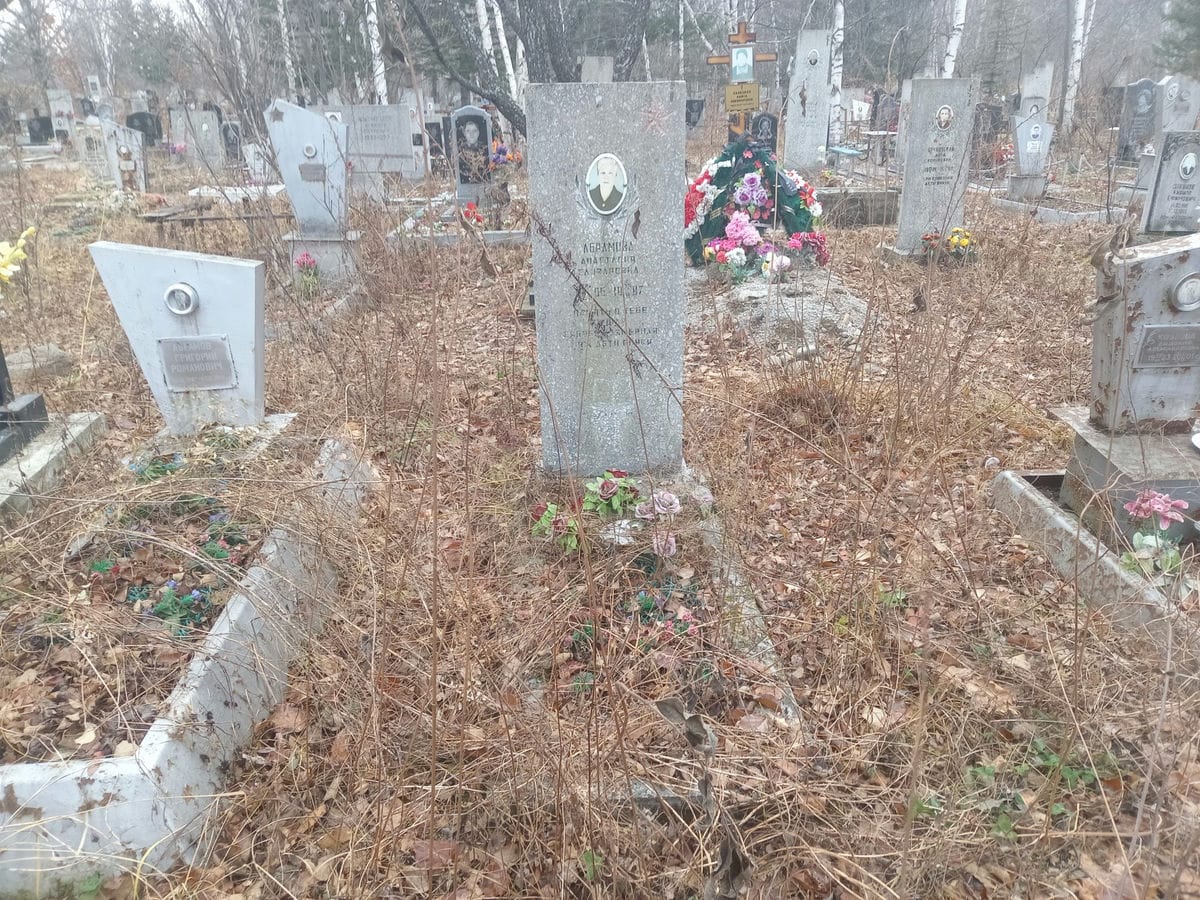 Абрамова Анастасия Елизаровна