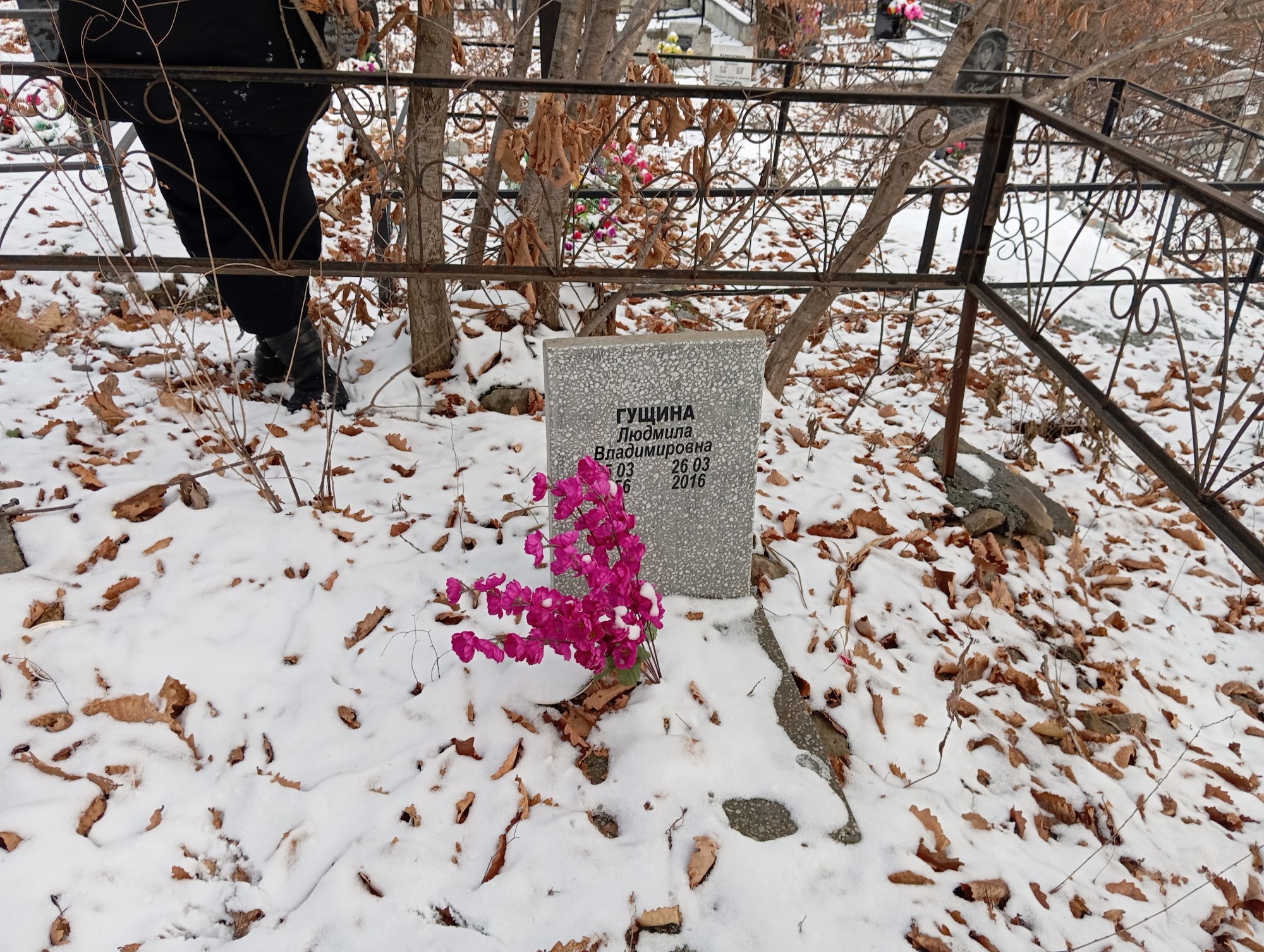Гущина Людмила Владимировна