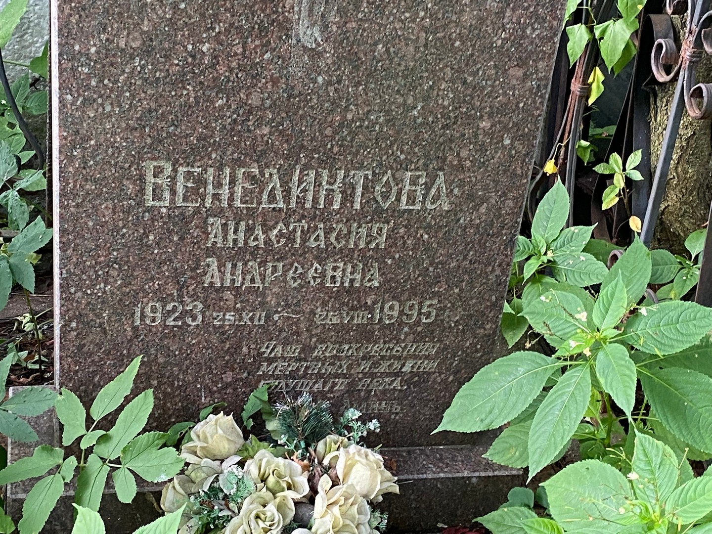Венедиктова Анастасия Андреевна