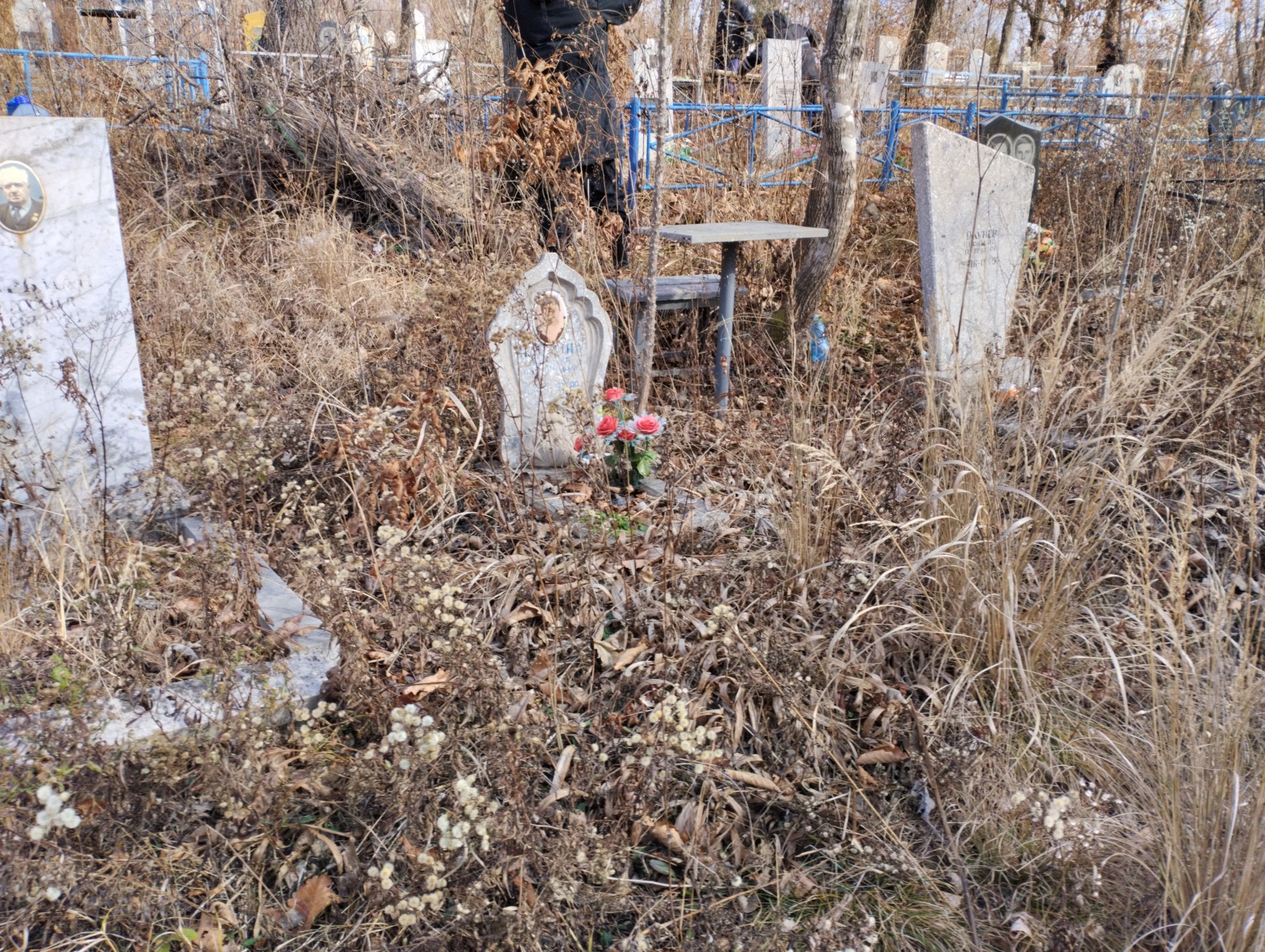 Найдина Евгения Сафроновна