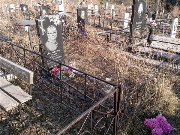 Дмитриева Ольга Юрьевна