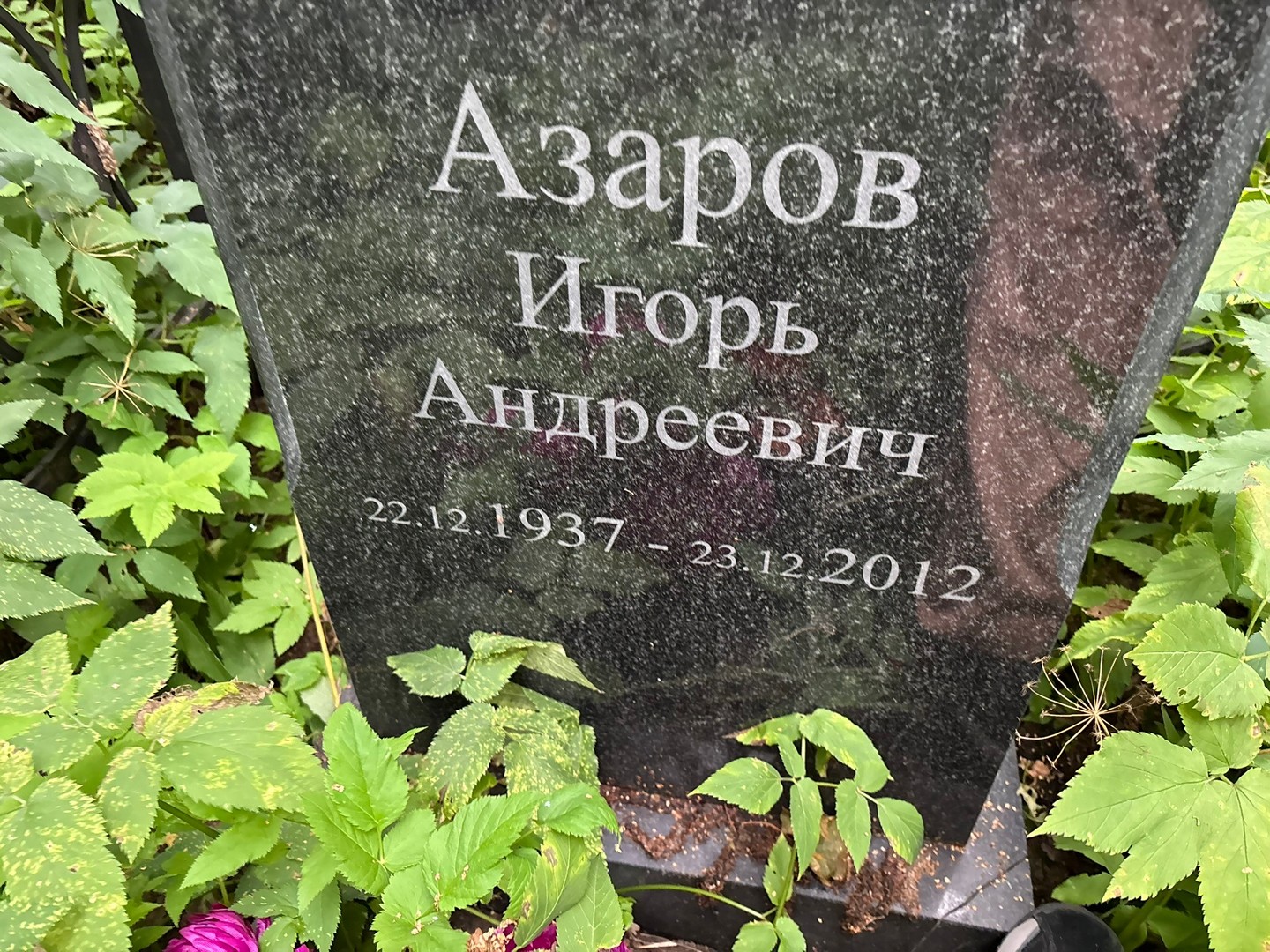 Азаров