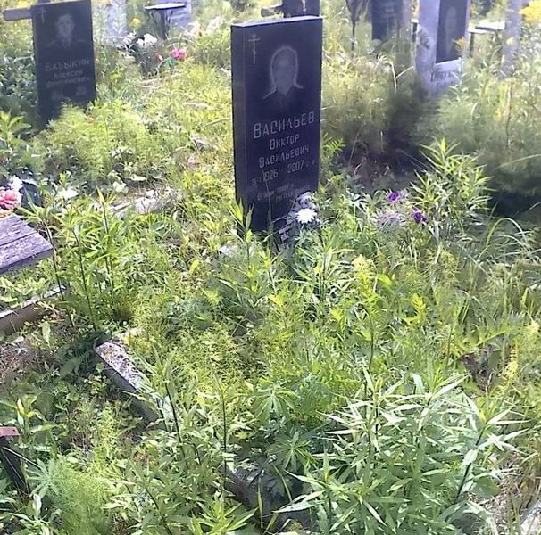 Васильев Виктор Васильевич