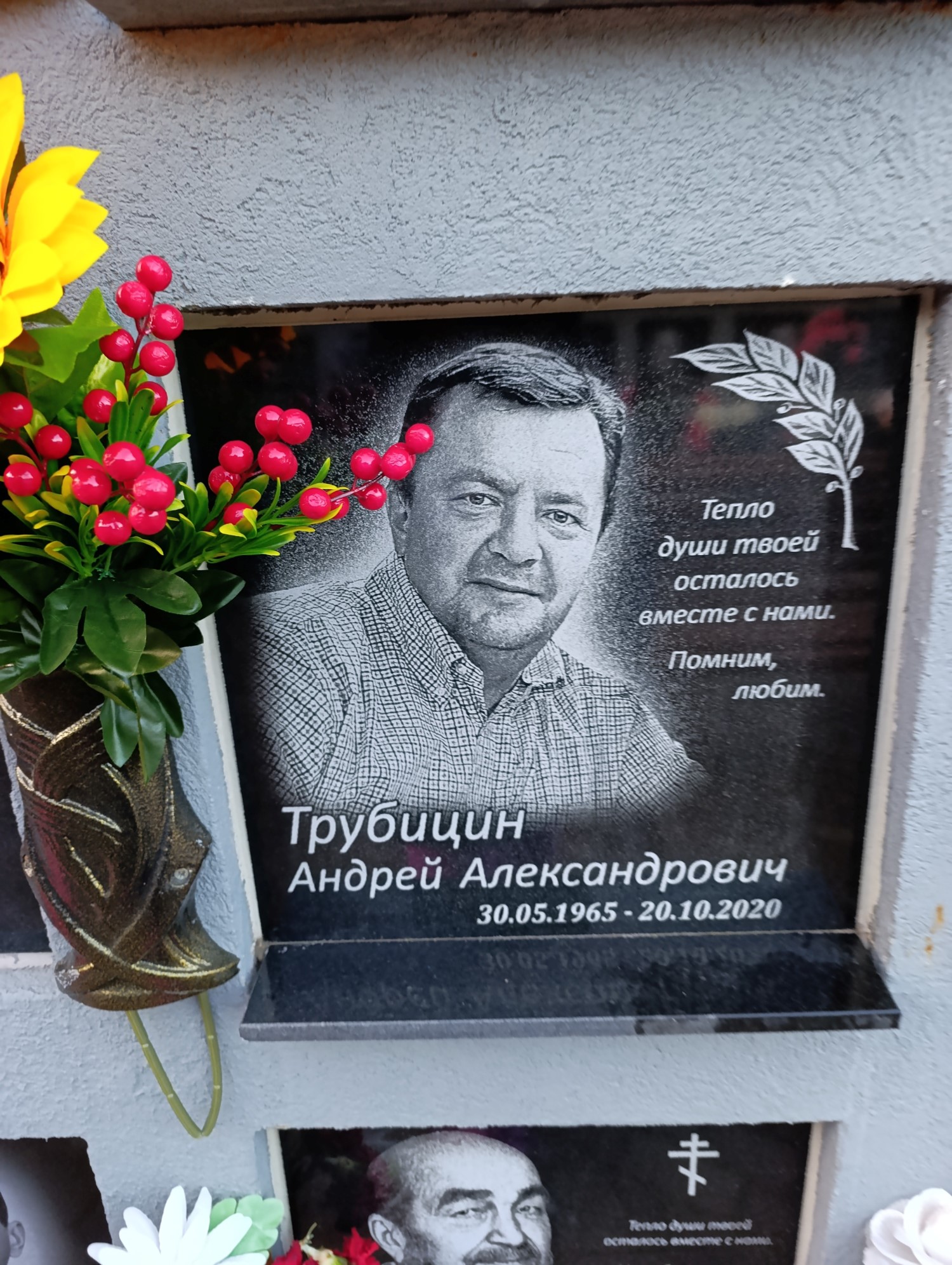 Трубицин Андрей Александрович