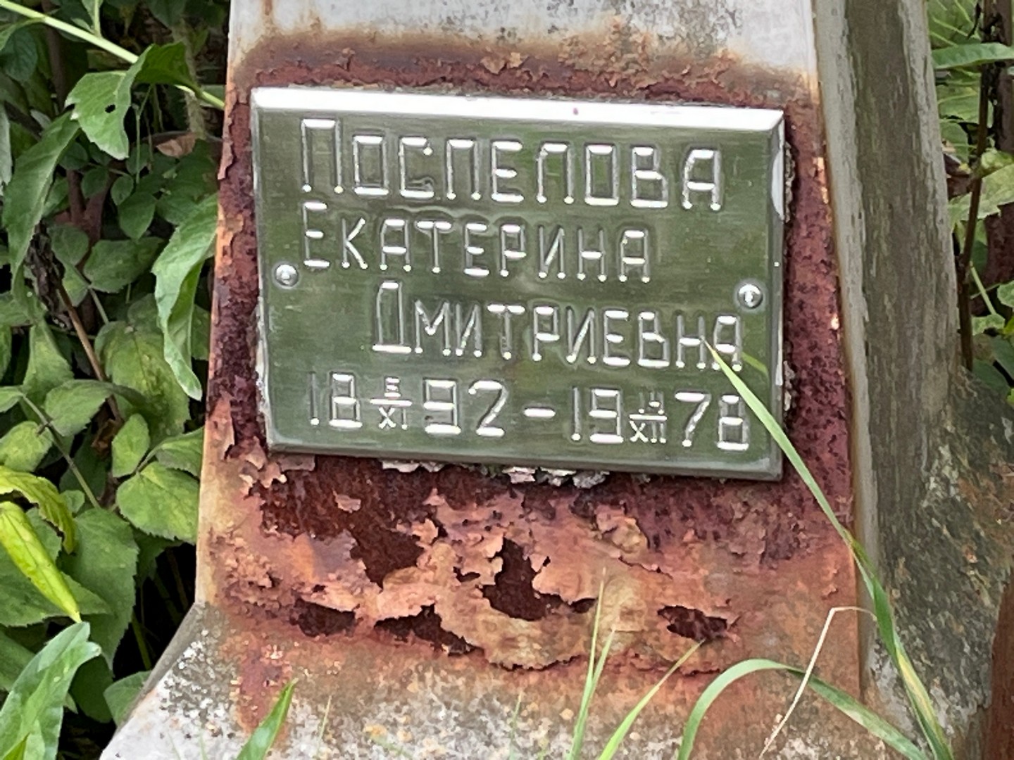 Поспелова