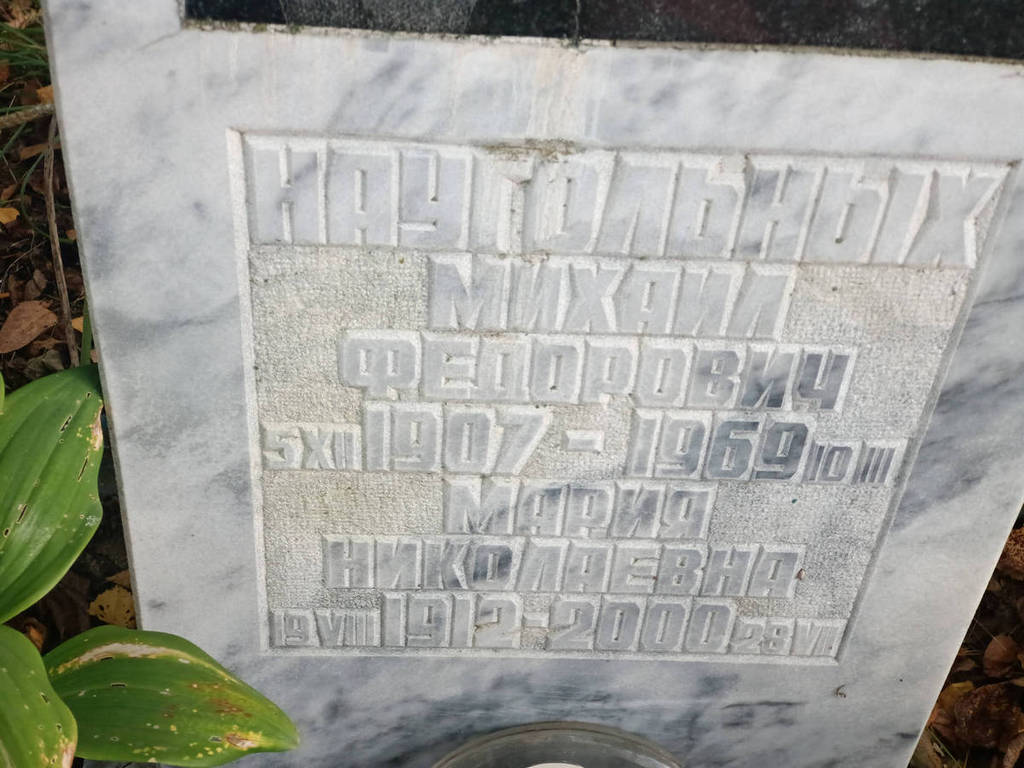 Наугольных Михаил Федорович