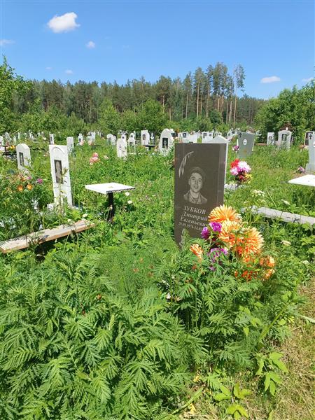 Зубков Дмитрий Евгеньевич