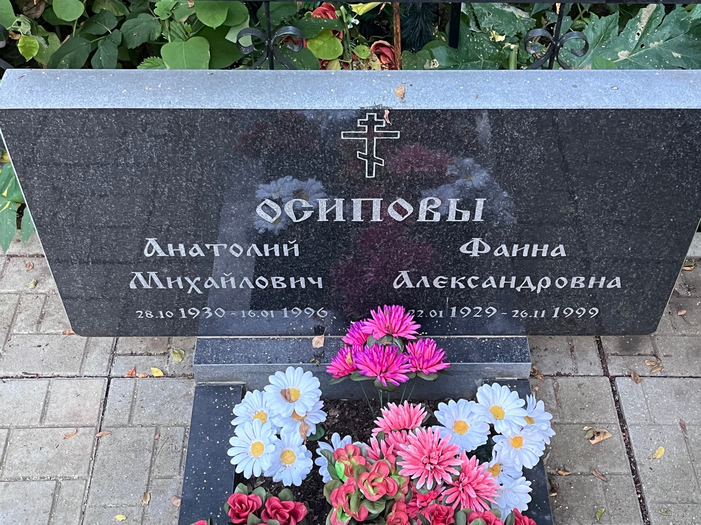 Осипов