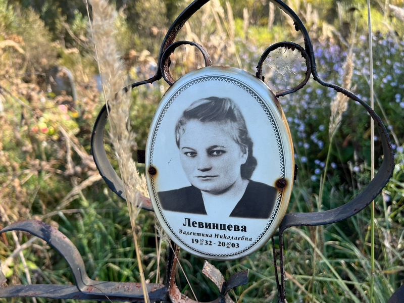 Левинцева