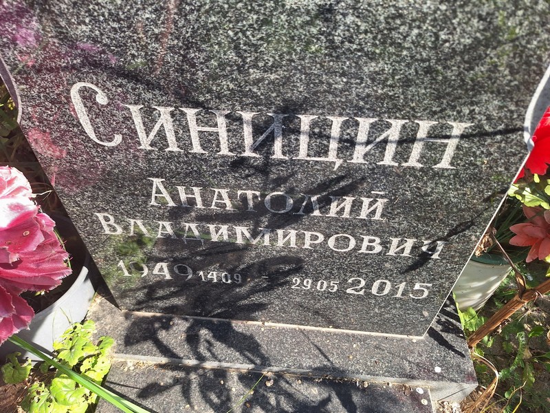 Синицын