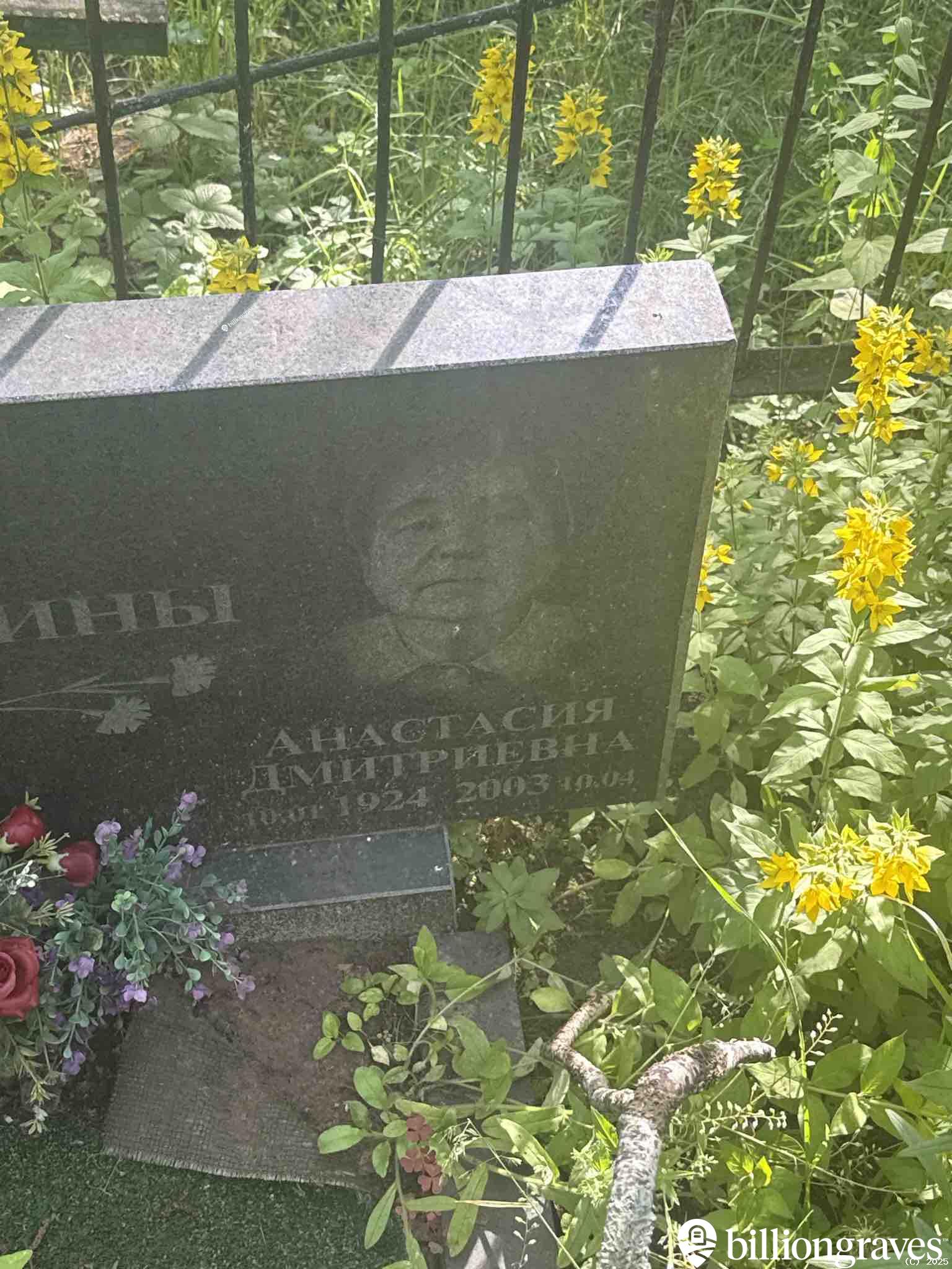 Бобина Анастасия Дмитриевна