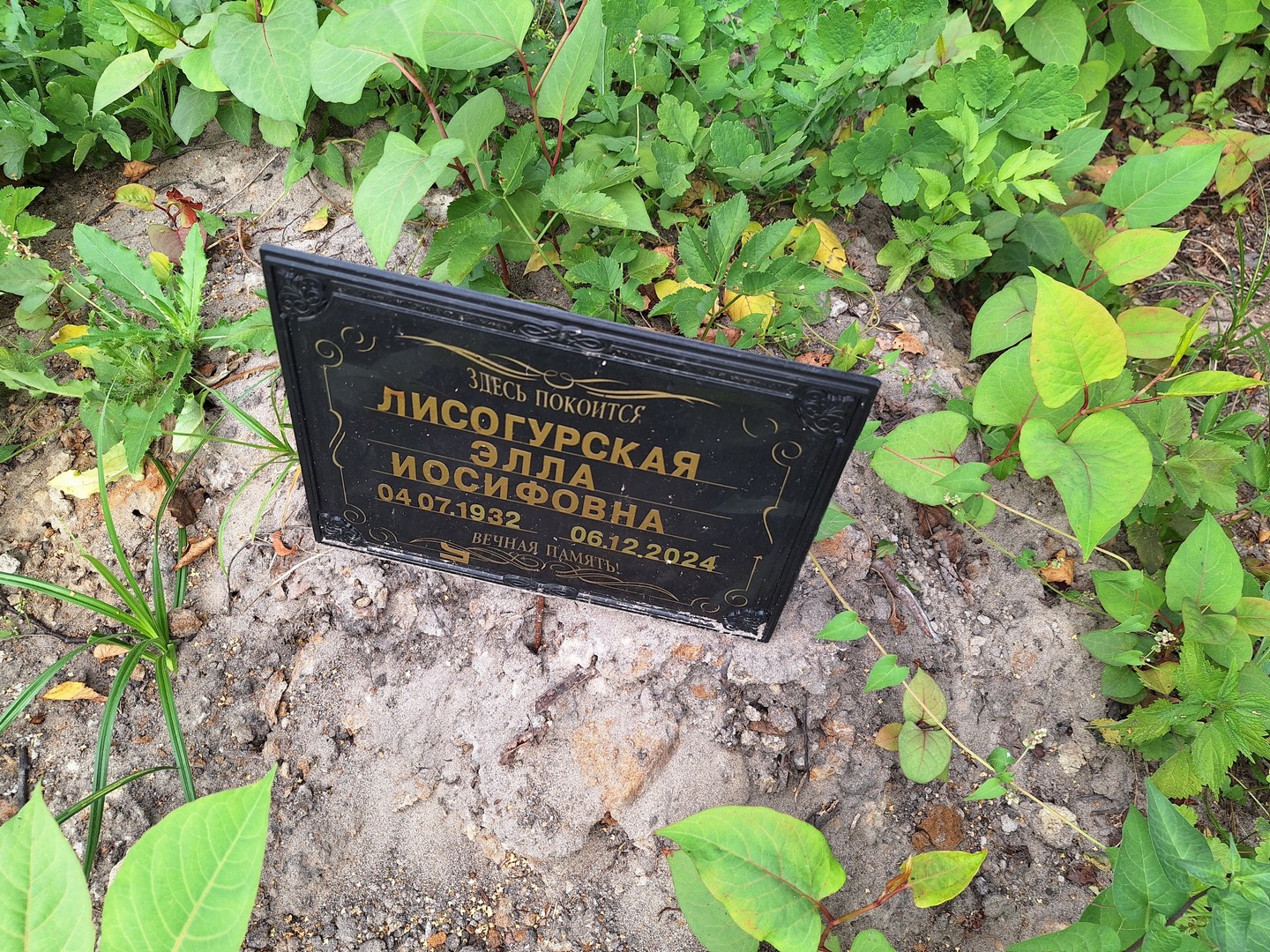 Элла Лисогурская Иосифовна