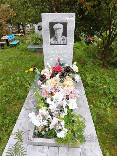 Дубяга Николай Петрович