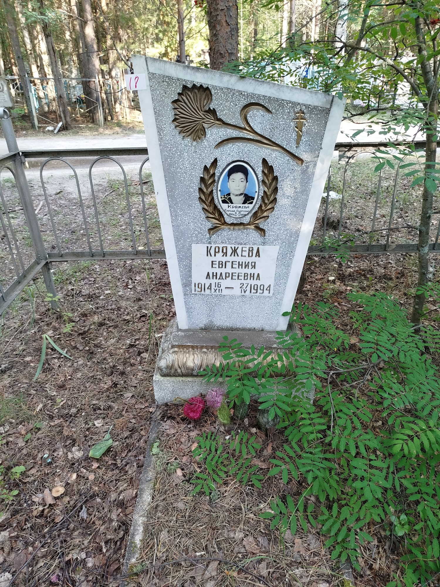 Кряжева Евгения Андреевна