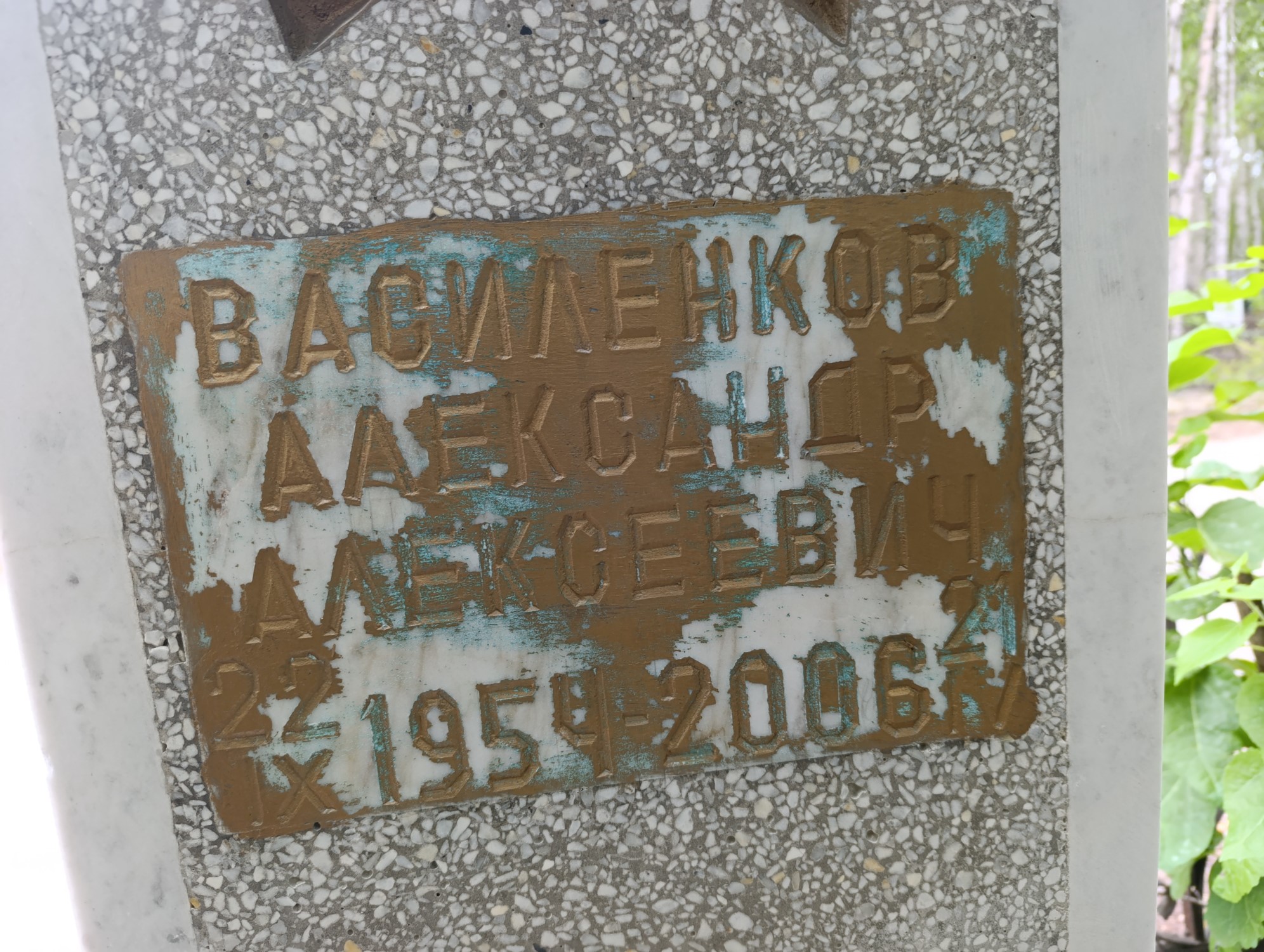 Василенков Александр Алексеевич