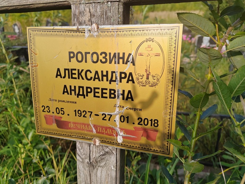 Рогозина Александра Андреевна