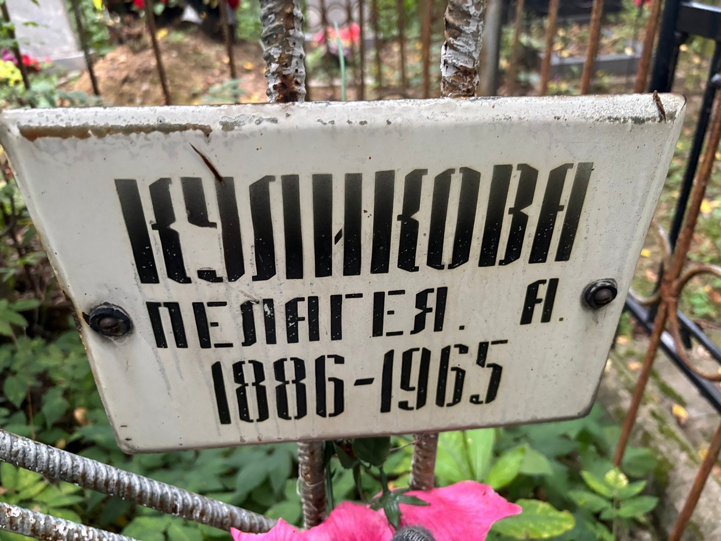 Куликова Пелагея А