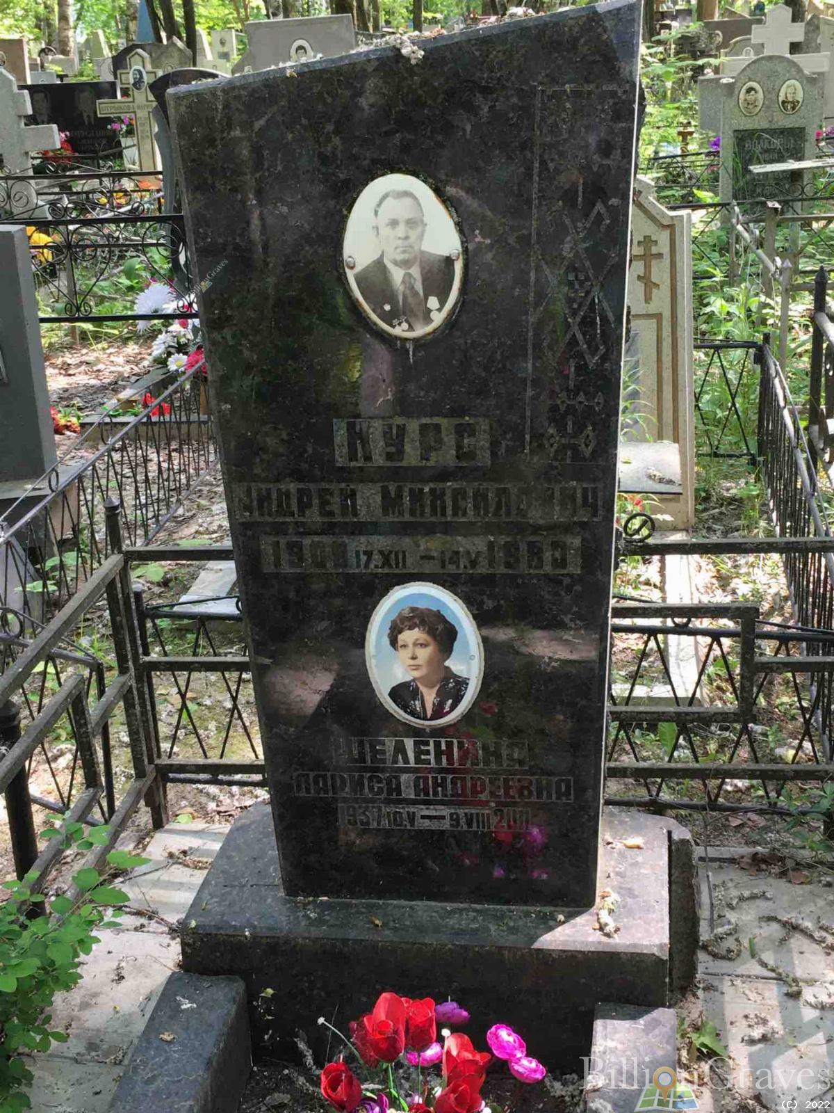Курс Андрей Михайлович