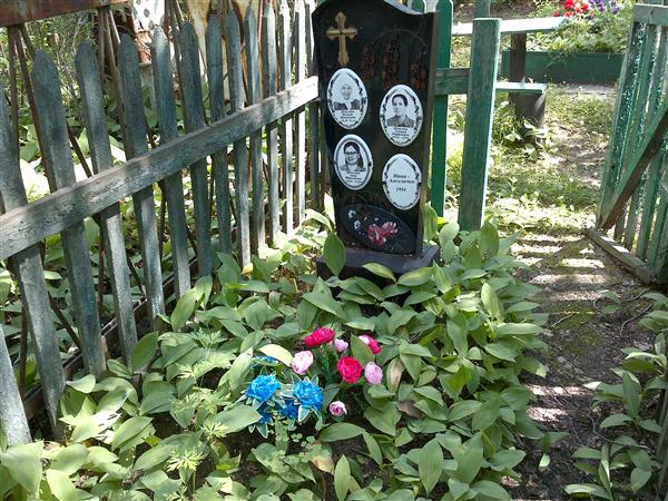 Шевелёва Анна Николаевна