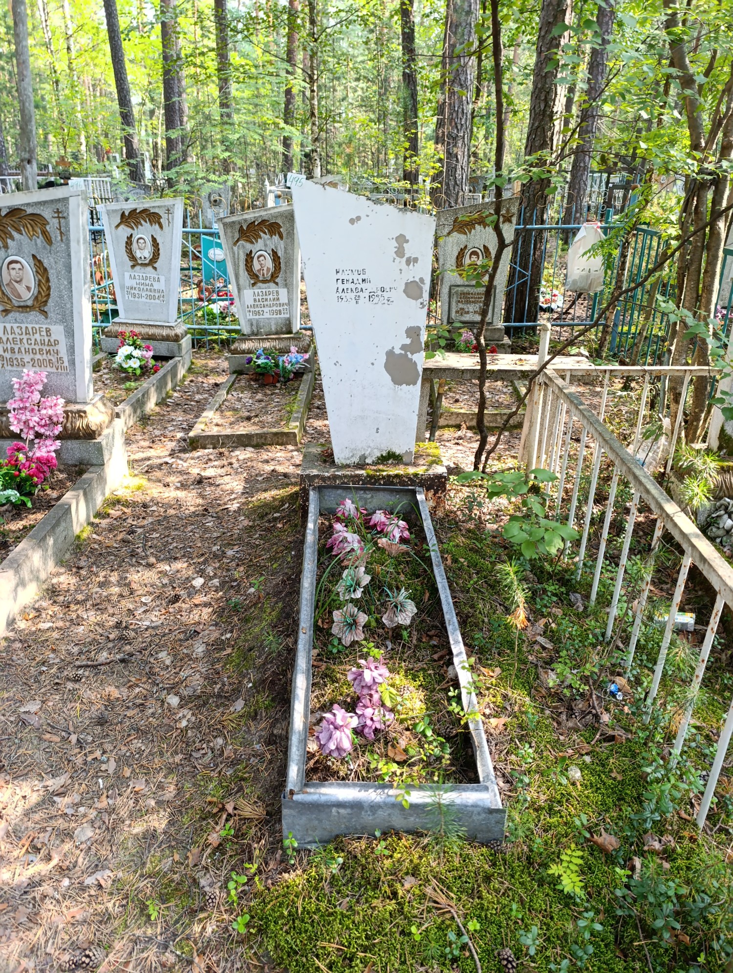 Наумов Геннадий Александрович