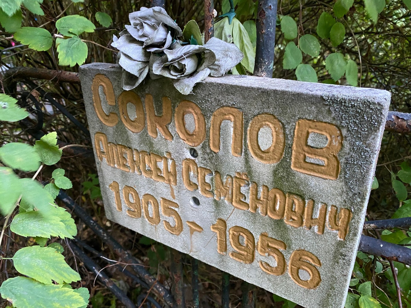 Соколов