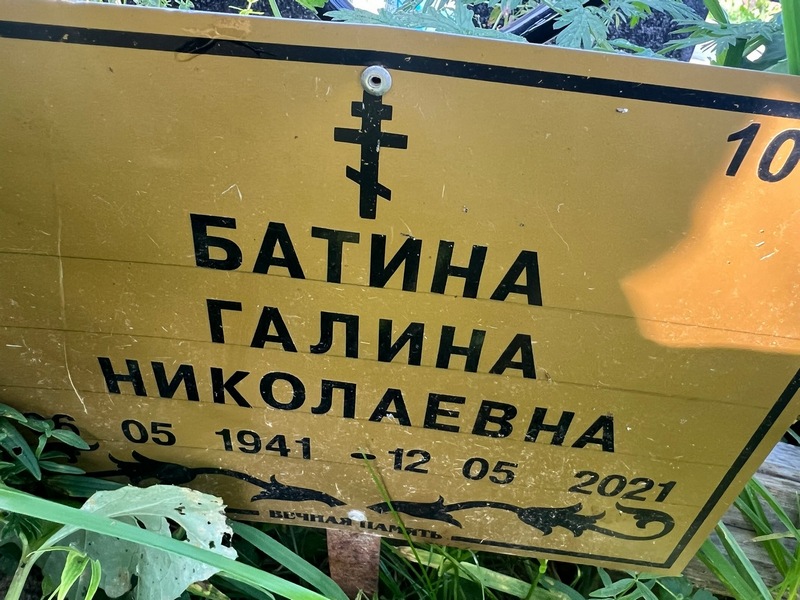 Батина