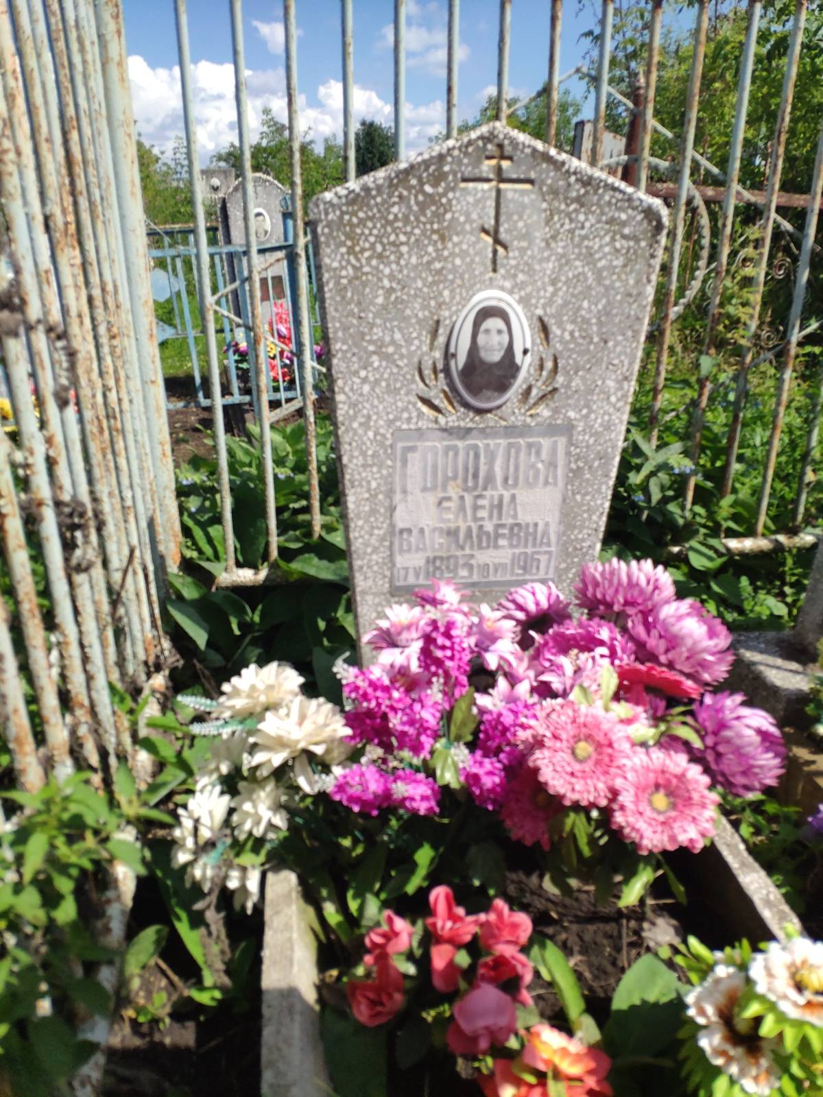 Горохова Елена Васильевна