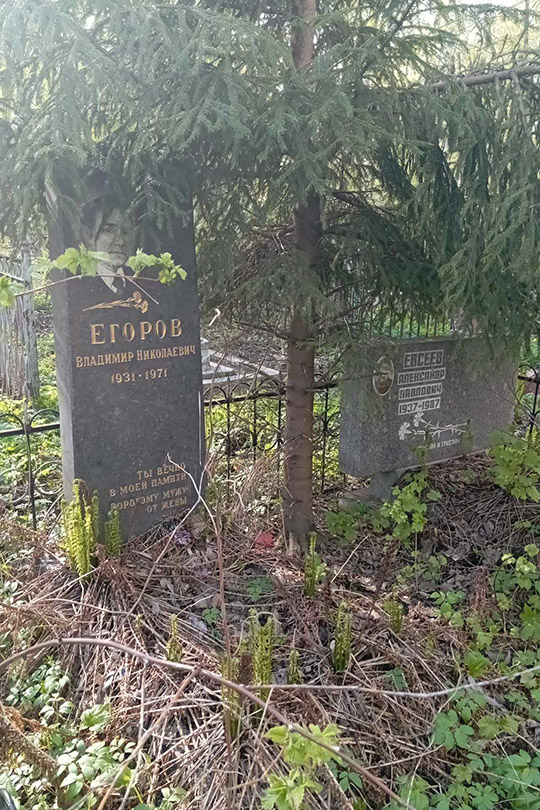 Егоров Владимир Николаевич