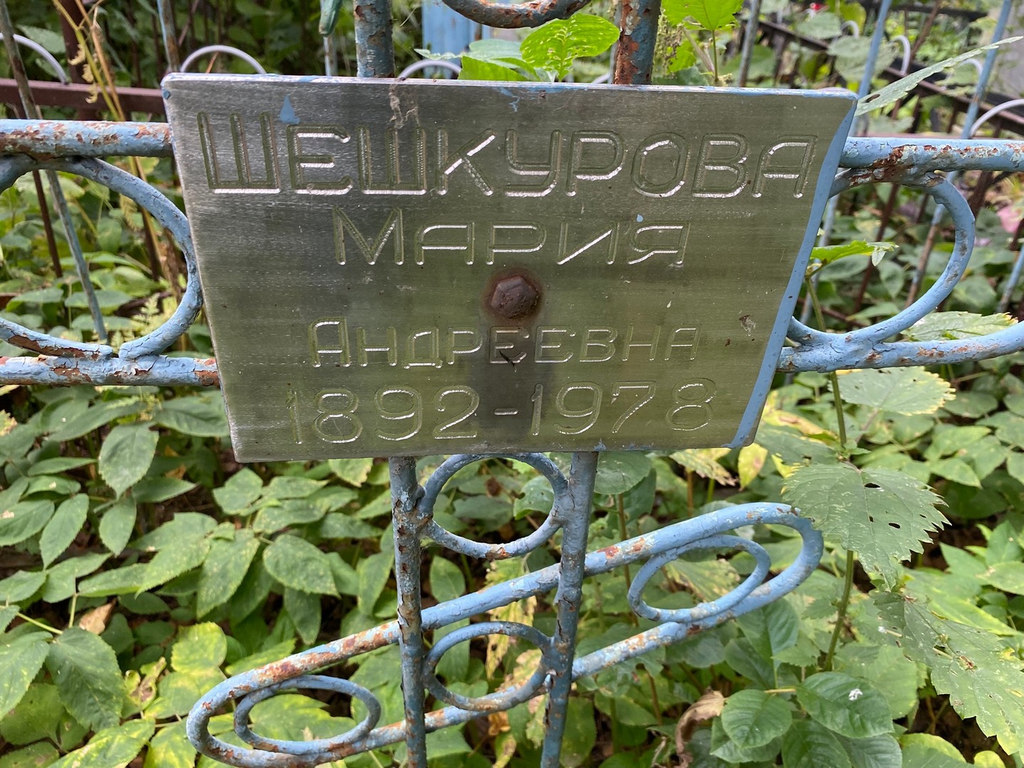 Шешкурова