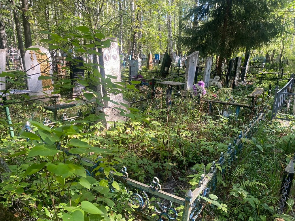 Нестерова Екатерина Ивановна