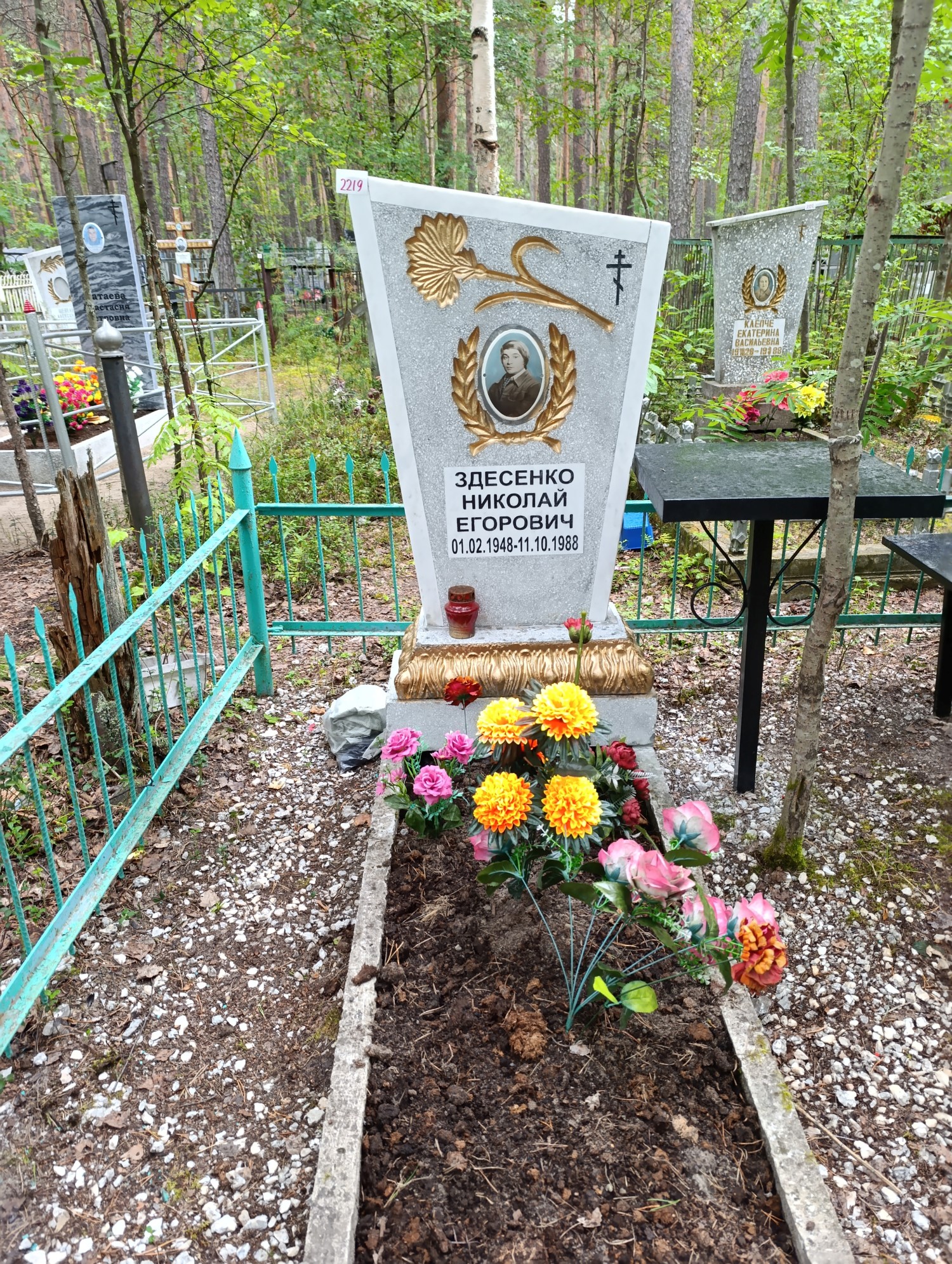Здесенко Николай Егорович