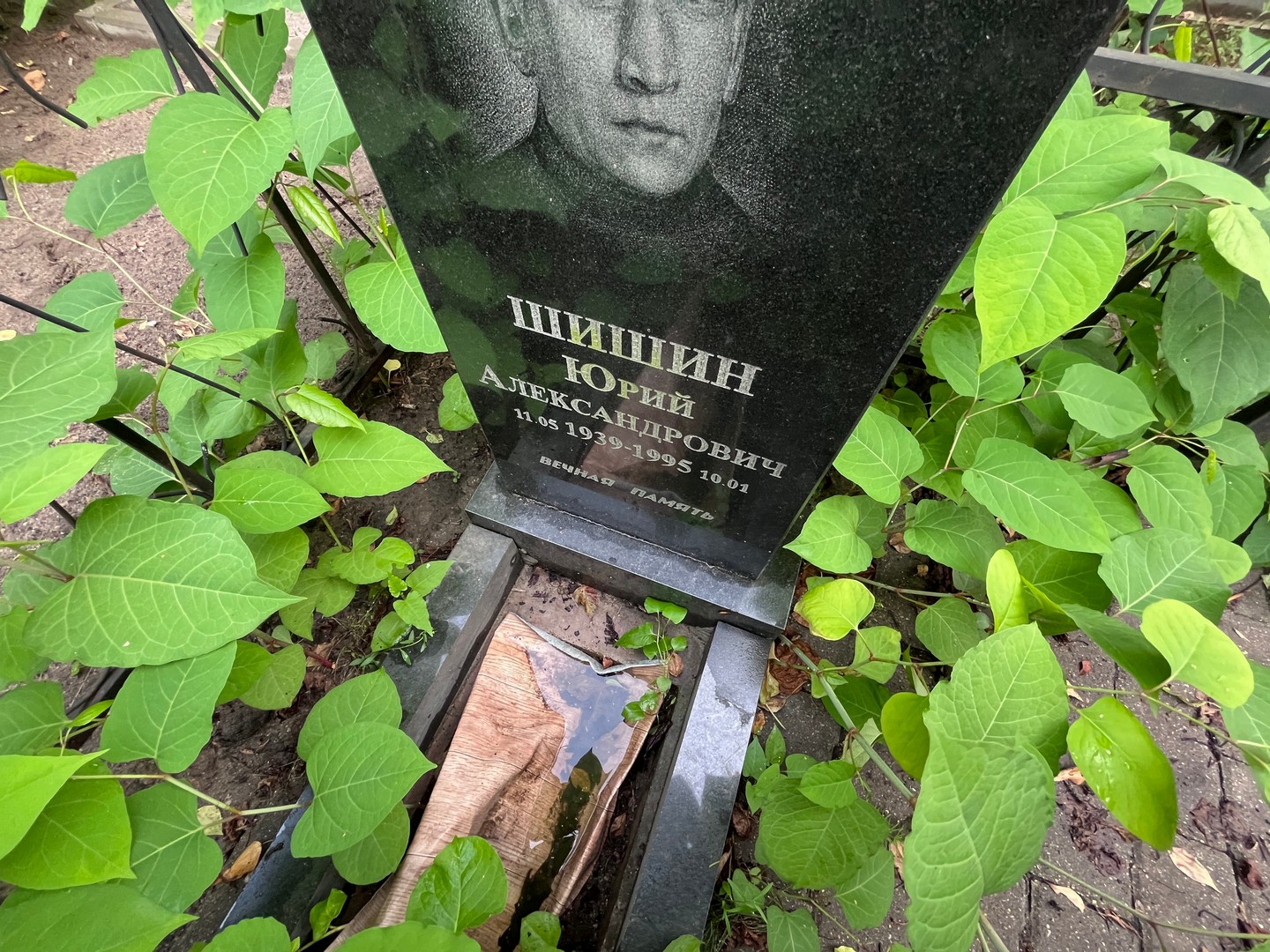 Шишин