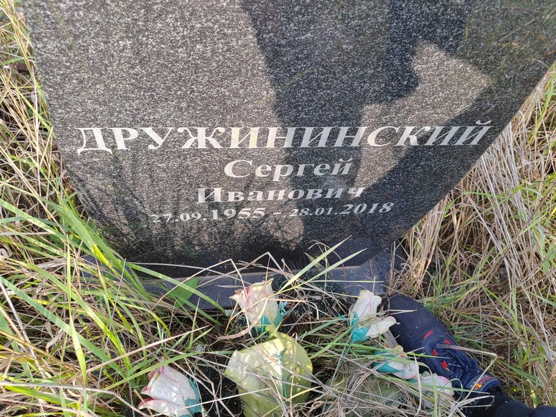 Дружининский