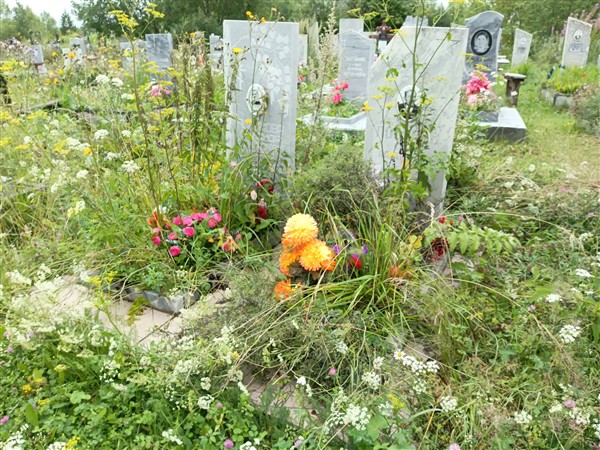 Логинова Зинаида Александровна