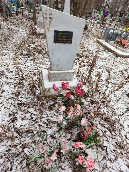 Денисова Елизавета Александровна