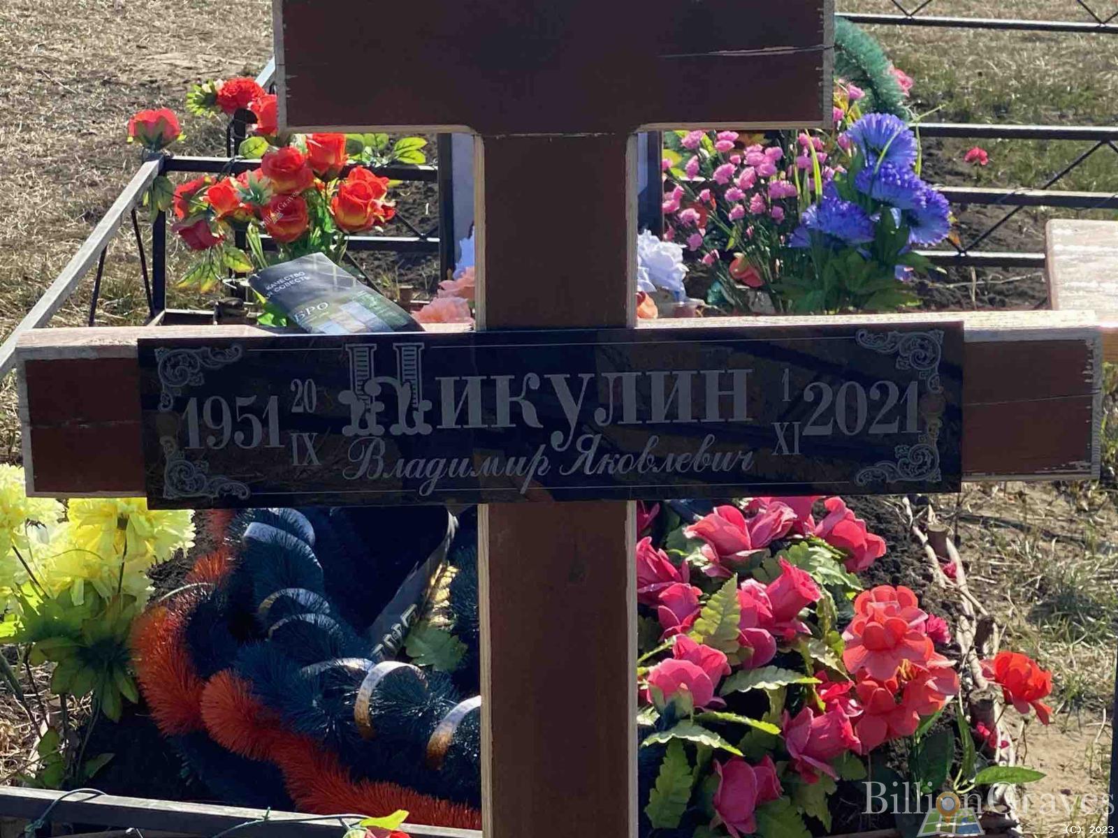 Никулин Владимир Яковлевич