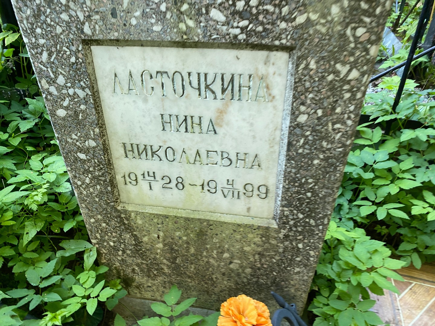 Ласточкина