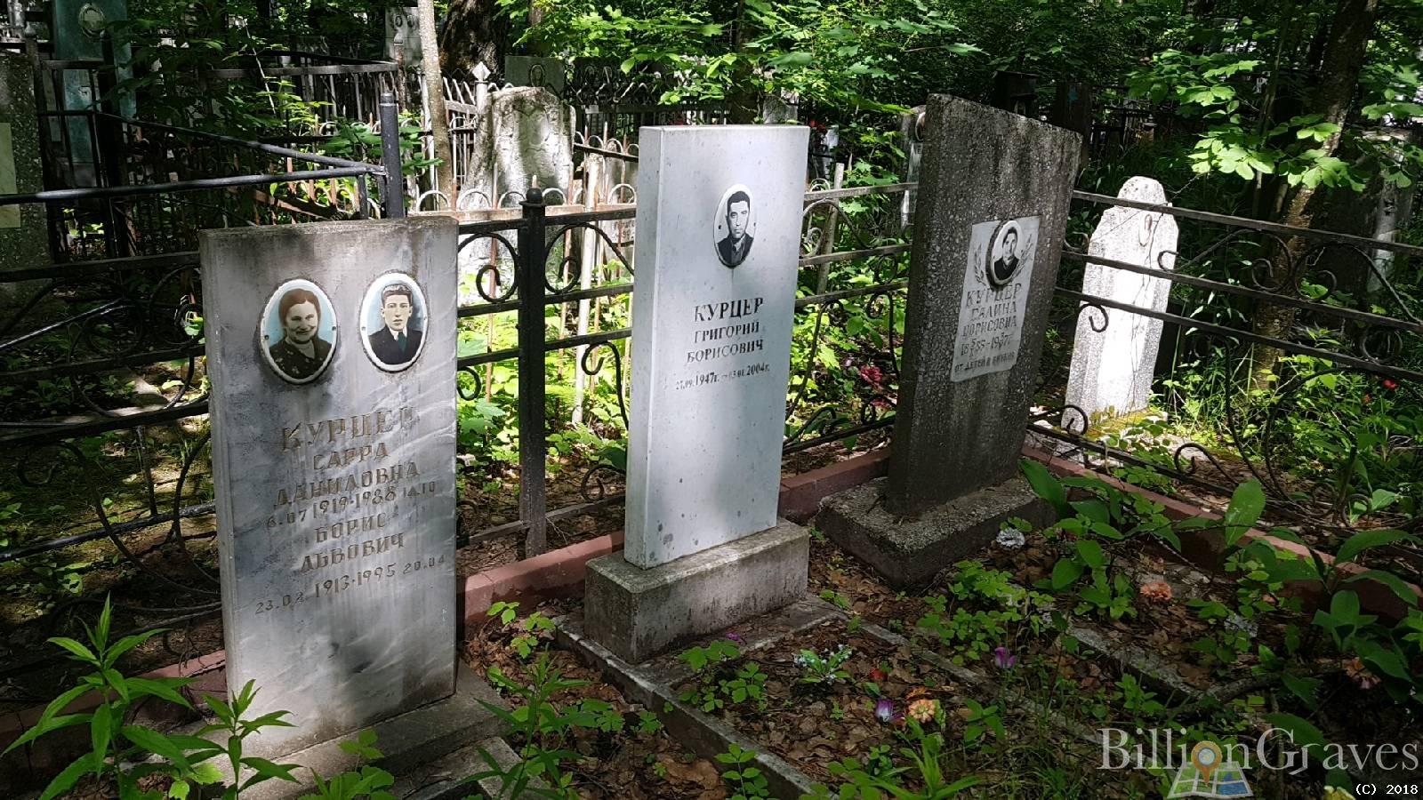 курцер ворис львович