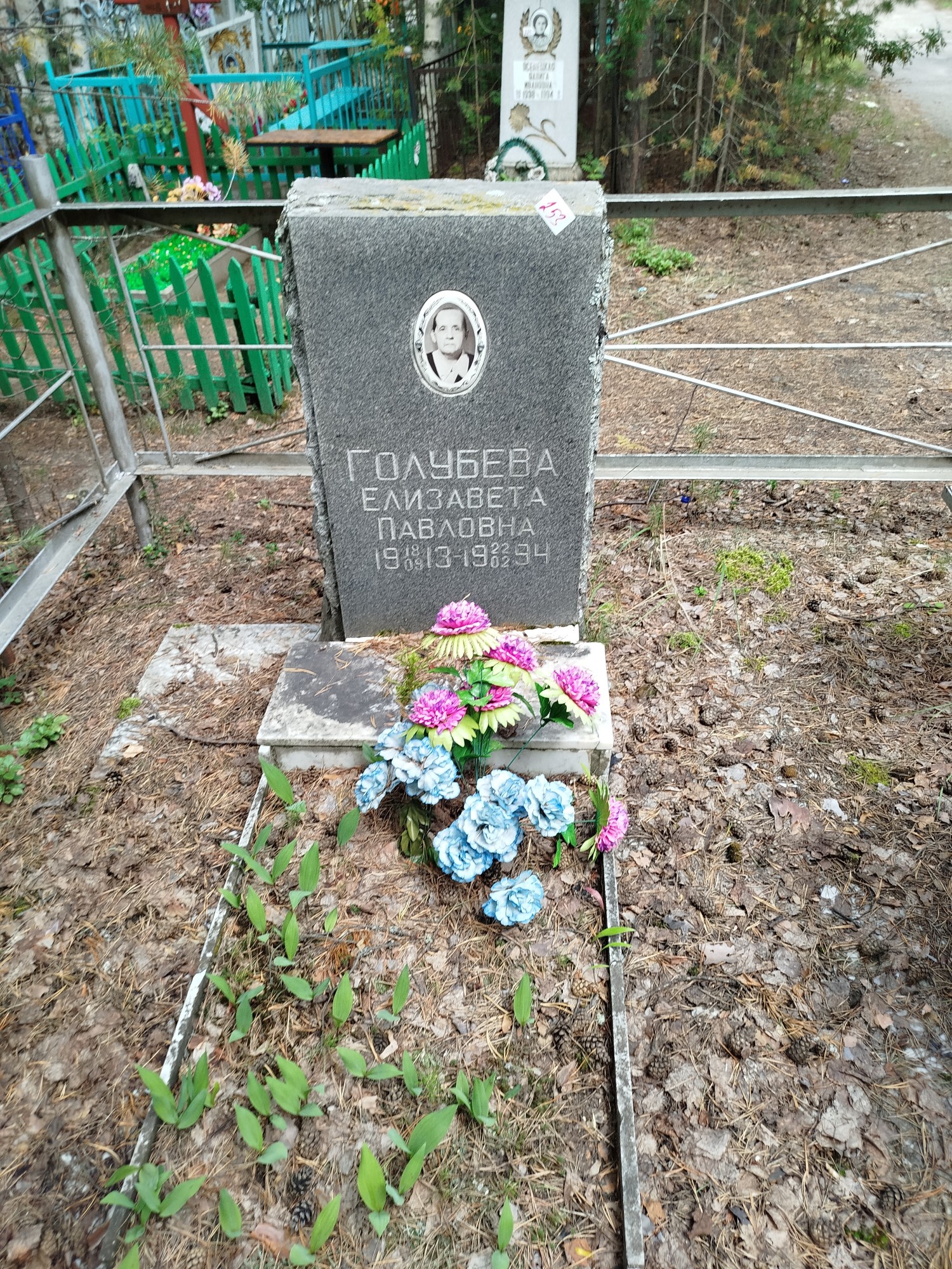 Голубева Елизавета Павловна