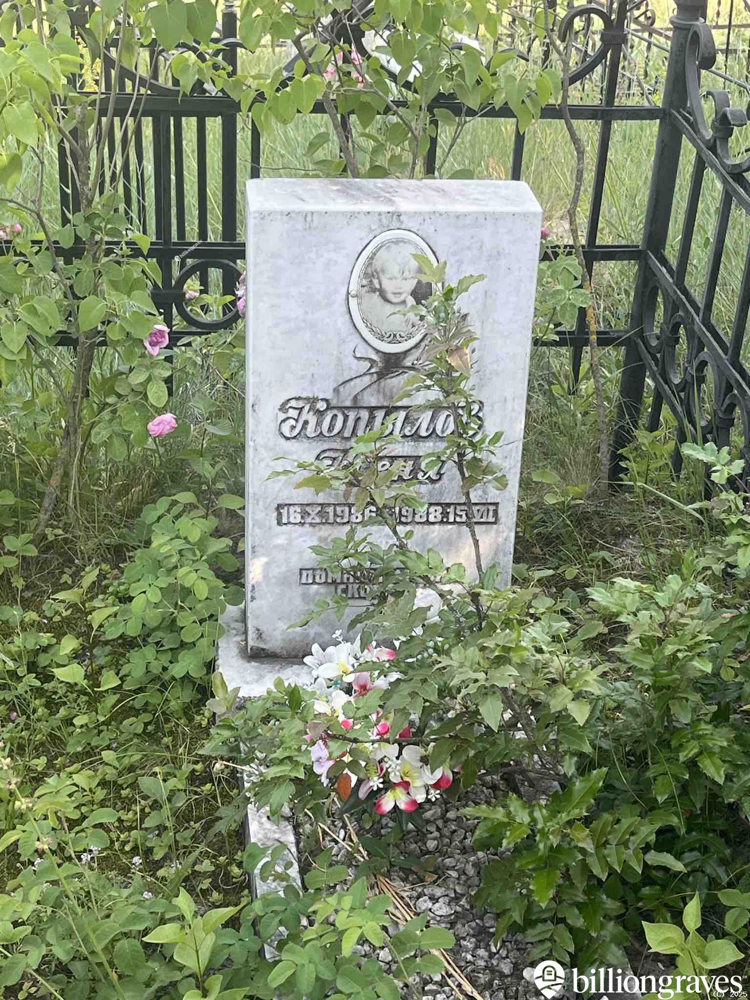 Копылов Евгений