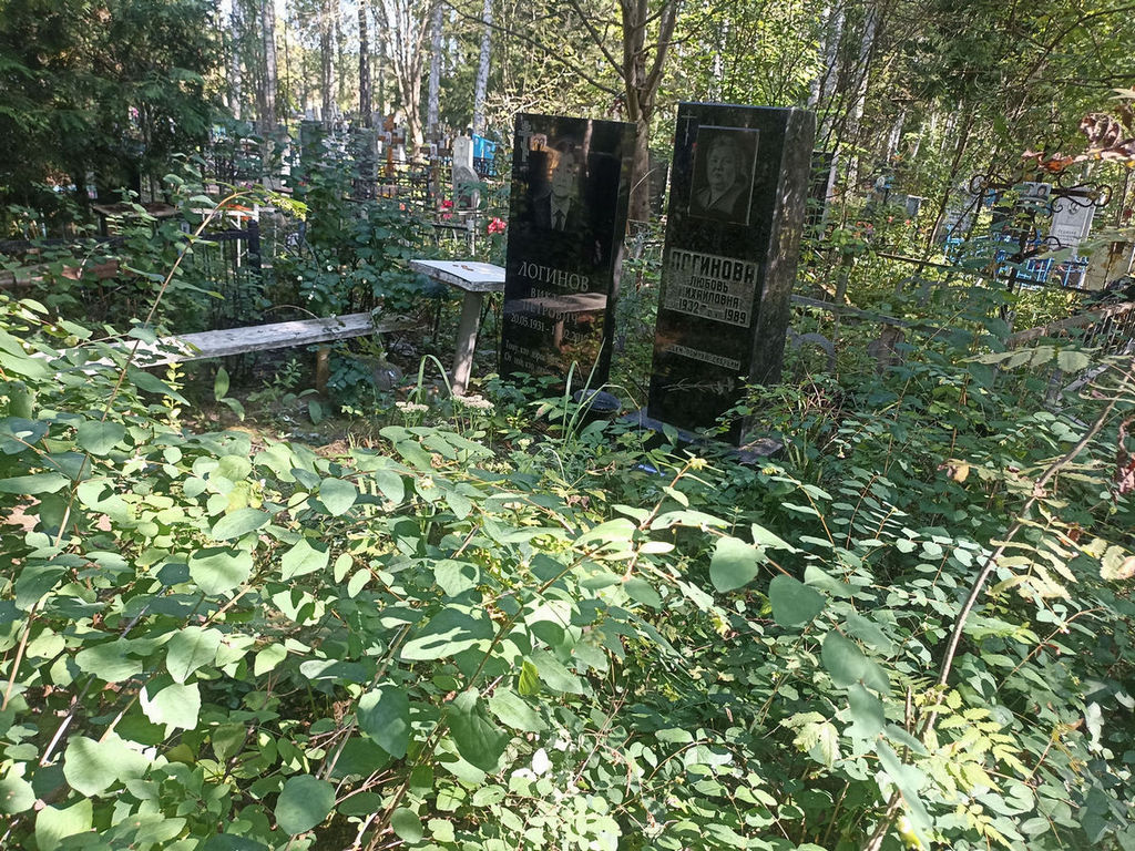 Логинов Виктор Петрович
