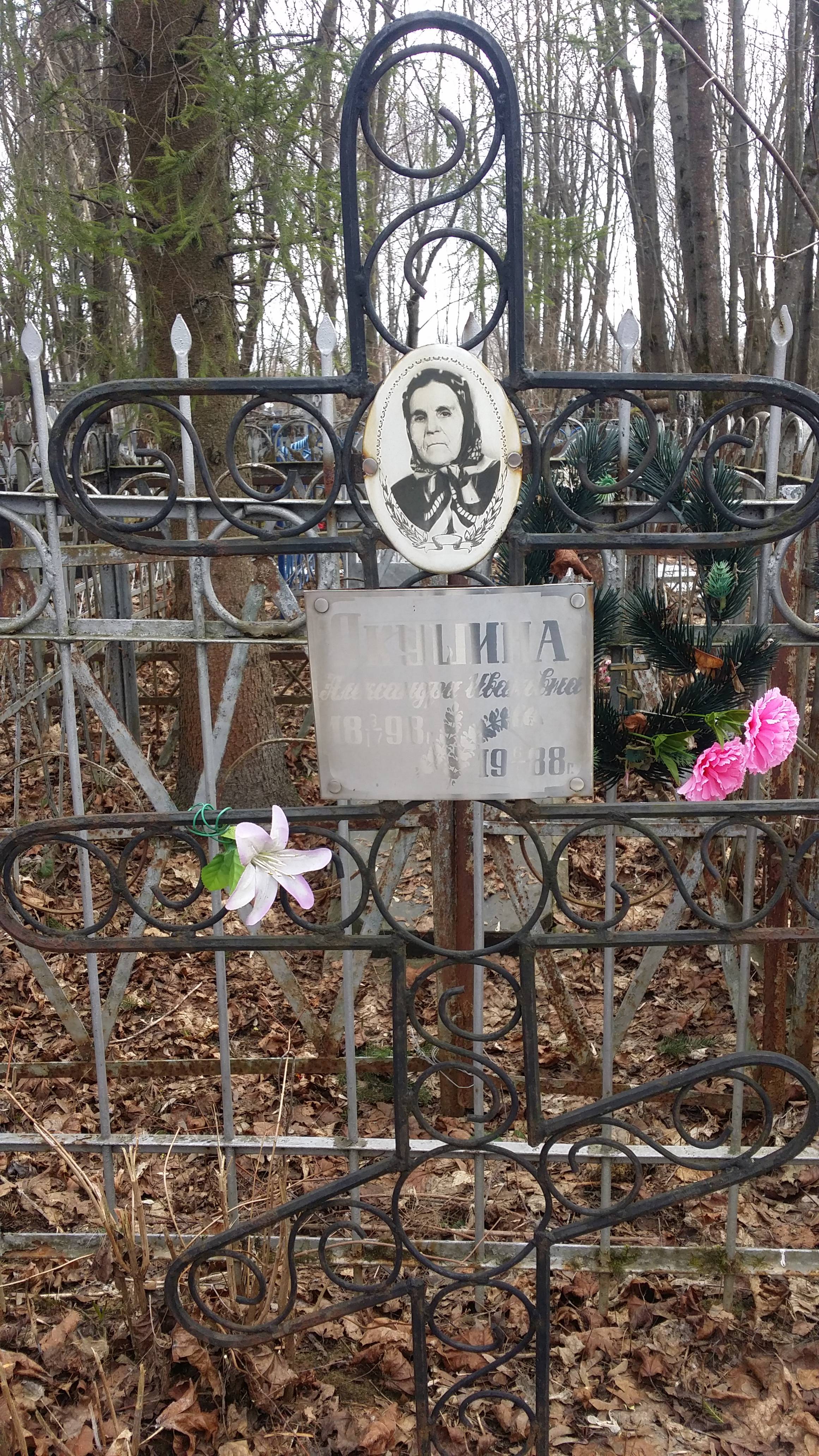 Акушина Александра Ивановна