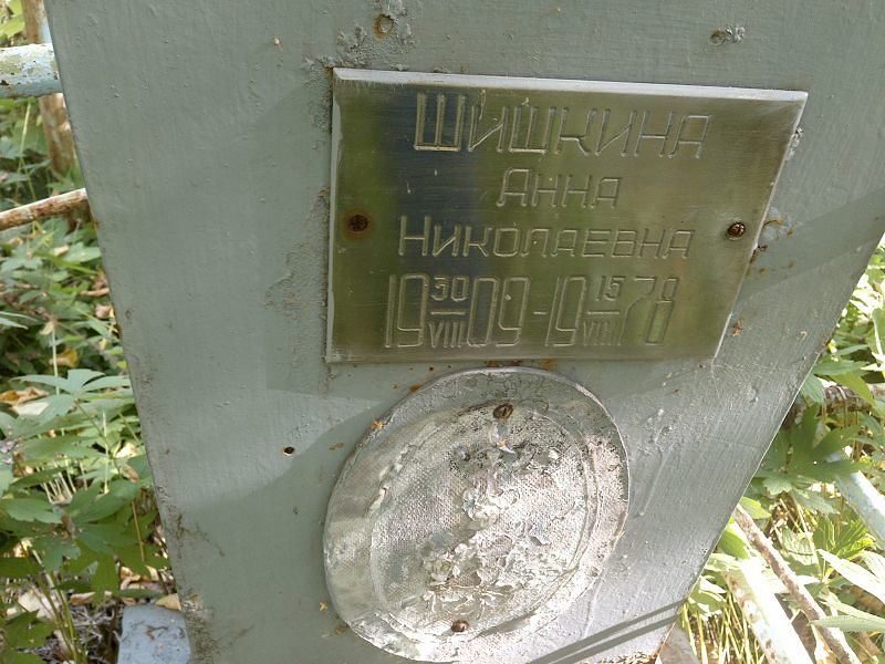 Шишкина