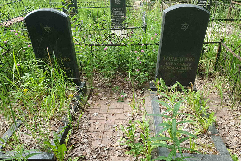 Гольдберг Александр Абрамович