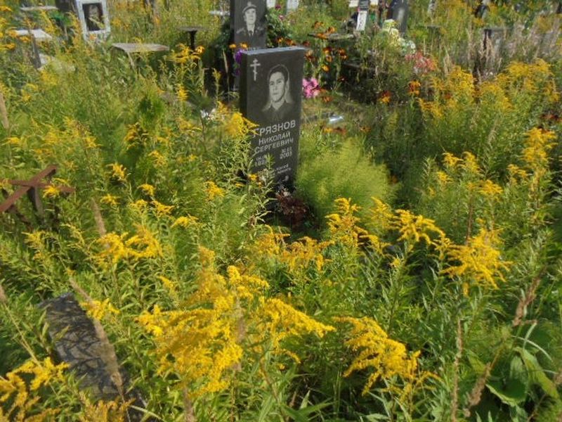 Грязнов Николай Сергеевич